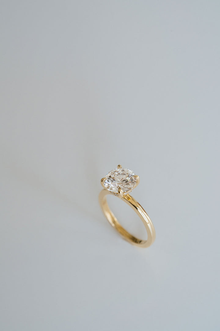 Round Brilliant Diamond Cavalier Solitaire With Collar