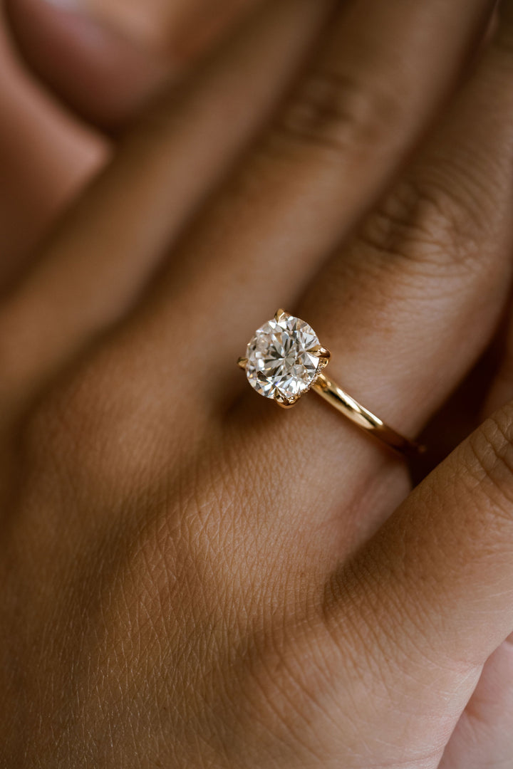 Round Brilliant Diamond Cavalier Solitaire With Collar