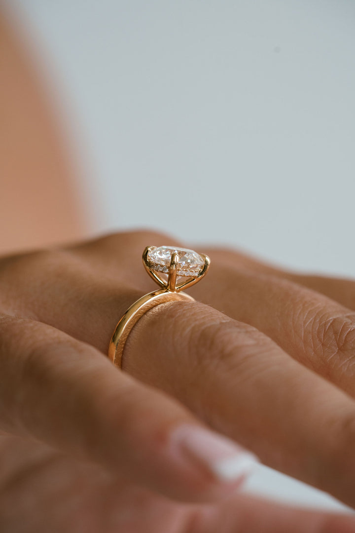 Round Brilliant Diamond Cavalier Solitaire With Collar