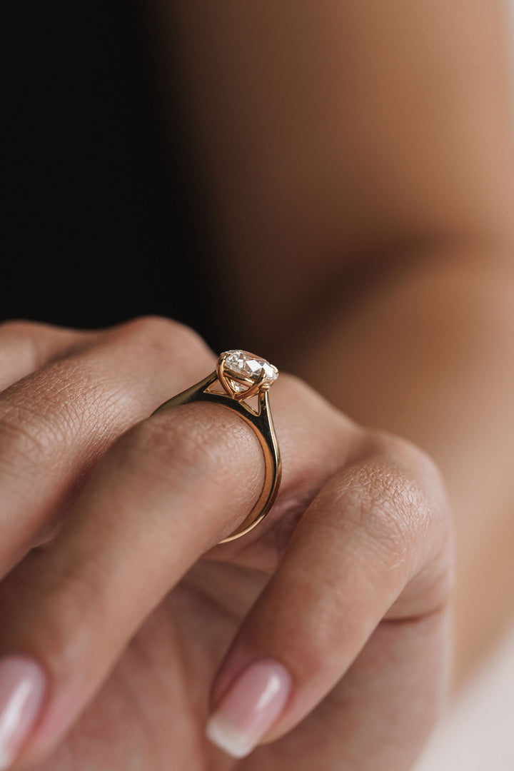 Round Brilliant Diamond Tapered Dominion Ring